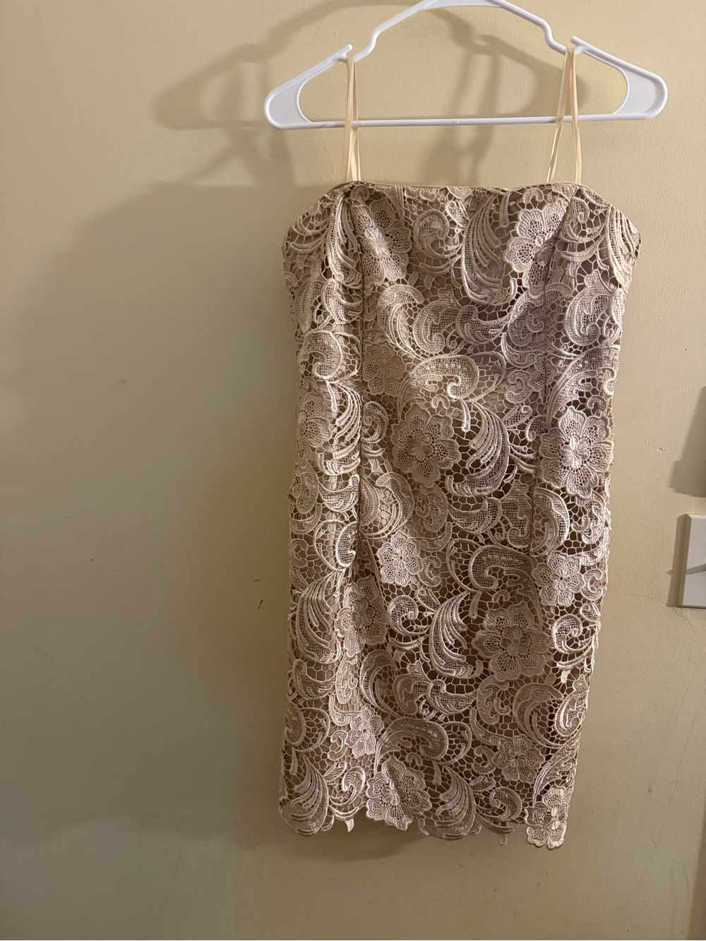 Adrianna Papell Evening Nude Cream Floral Guipure Lace Cocktail Dress Size 10